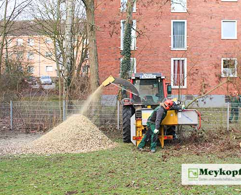 Meykopff Galabau Baumpflege