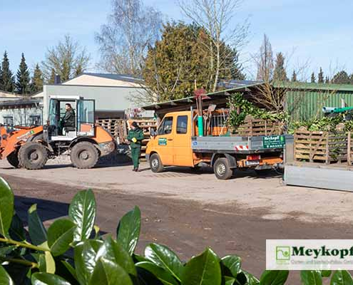 Meykopff Galabau Fahrzeuge Baumpflege